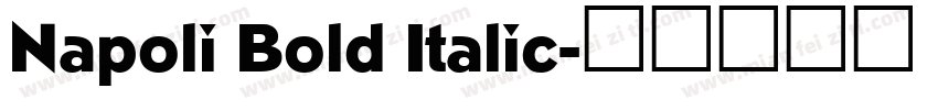 Napoli Bold Italic字体转换